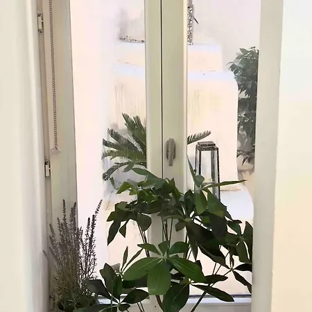 Le Petit Patio *